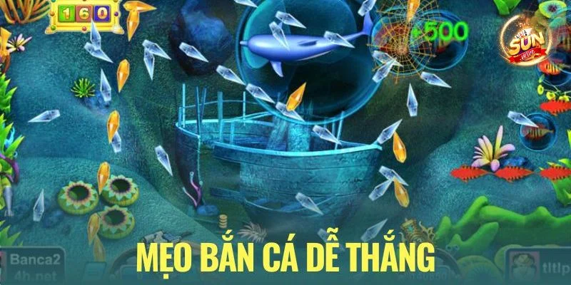 Mẹo Bắn Cá Ăn Đậm, Trúng Lớn Như Cao Thủ Sunwin